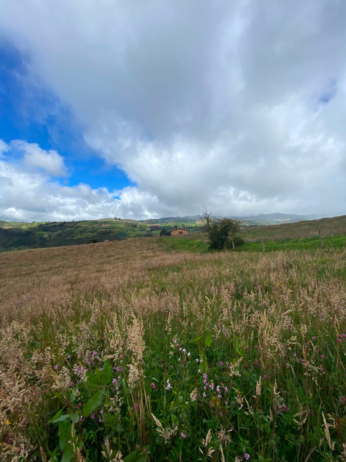 Finca en Chinquira, Villapinzón, photo 1