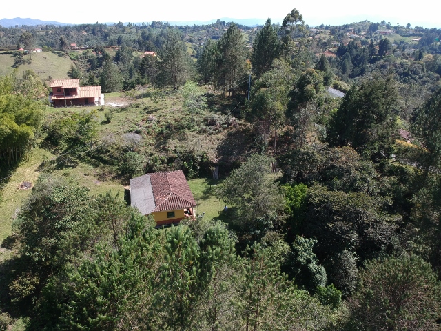 Vista aérea del lote: la construcción existente rodeada de zona boscosa