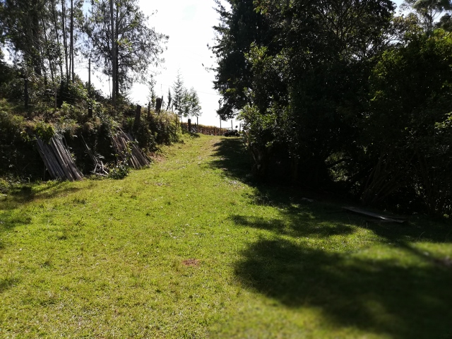 Camino de acceso al lote