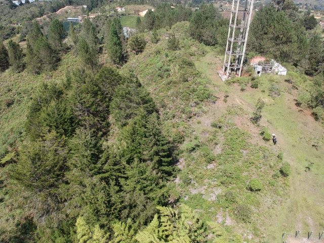 Lote en San Luis, Rionegro, foto 5