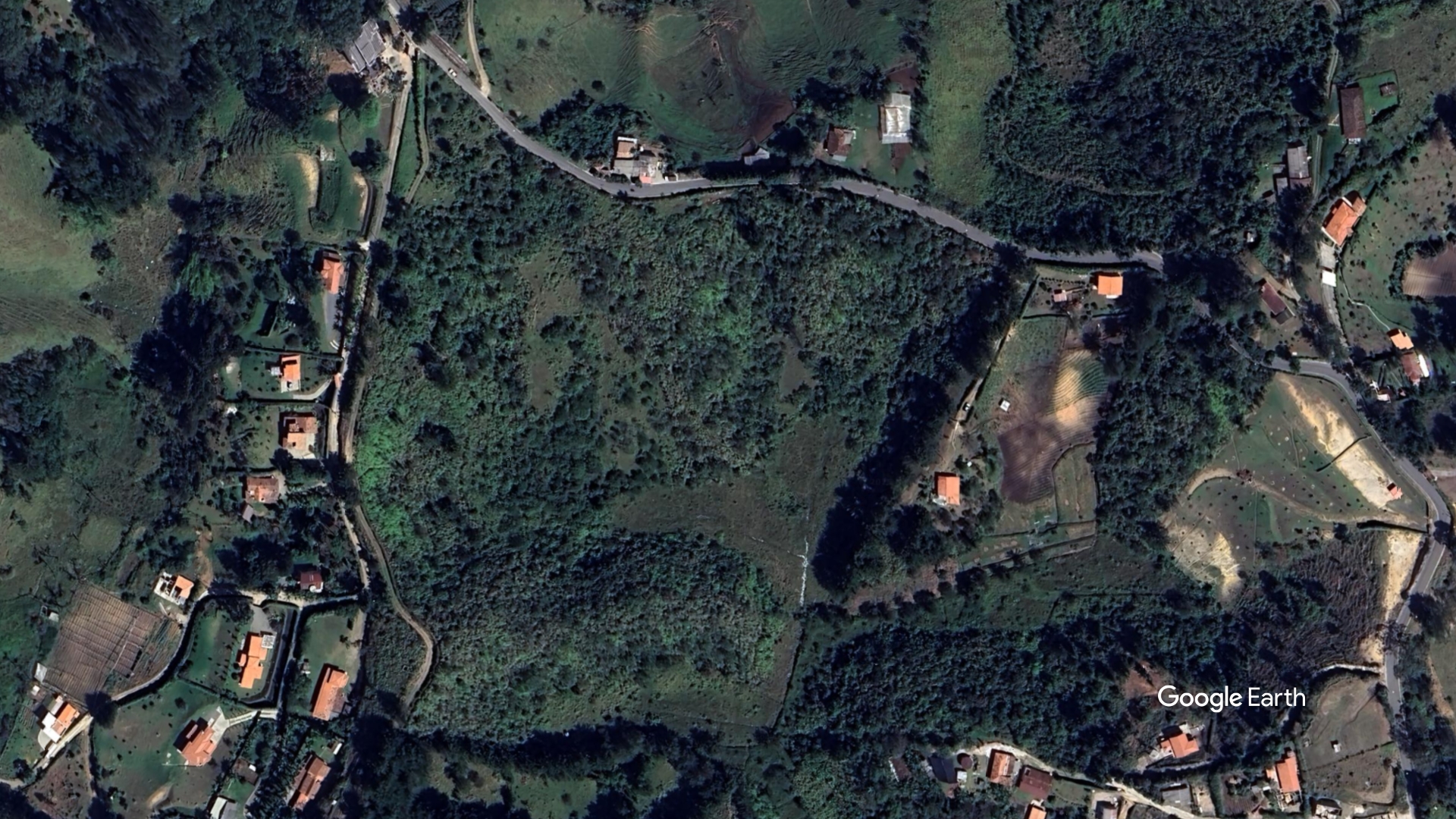 Imagen satelital de referencia (Google Earth) del sector, vereda San Luis, Rionegro — no es fotografía del lote específico